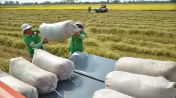 توسيع نطاق التعاون بين دول الآسيان.
